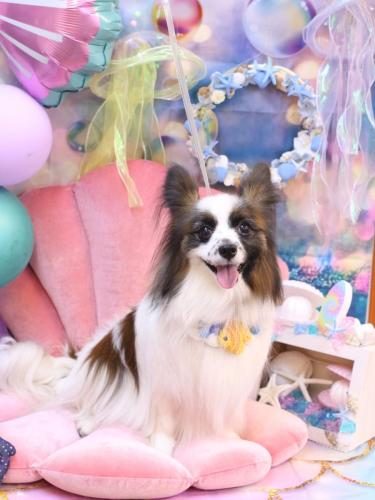 20240812マリーちゃん